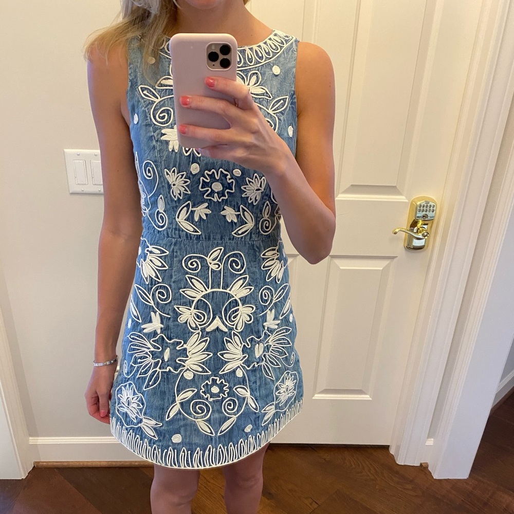 Denim Alice + Olivia Dress